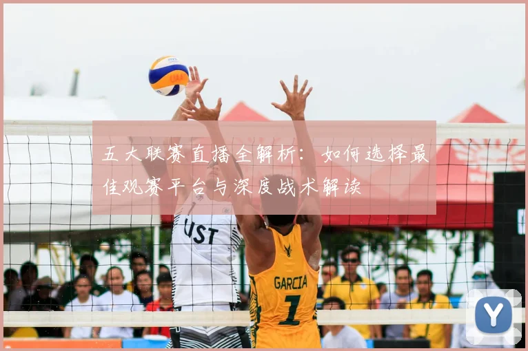 五大联赛直播全解析:如何选择最佳观赛平台与深度战术解读