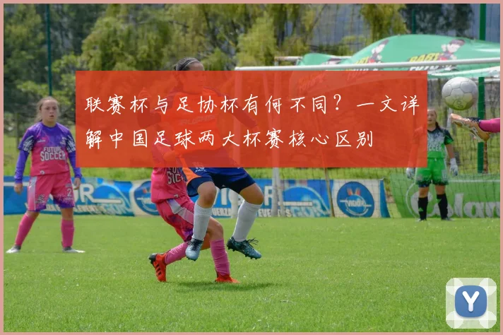联赛杯与足协杯有何不同？一文详解中国足球两大杯赛核心区别